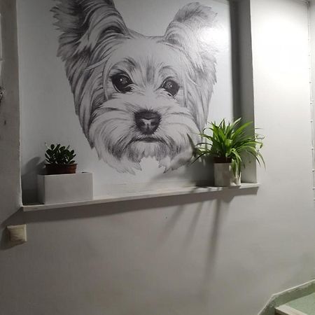 Larry'S Little Place In The Center Of Gytheio ภายนอก รูปภาพ